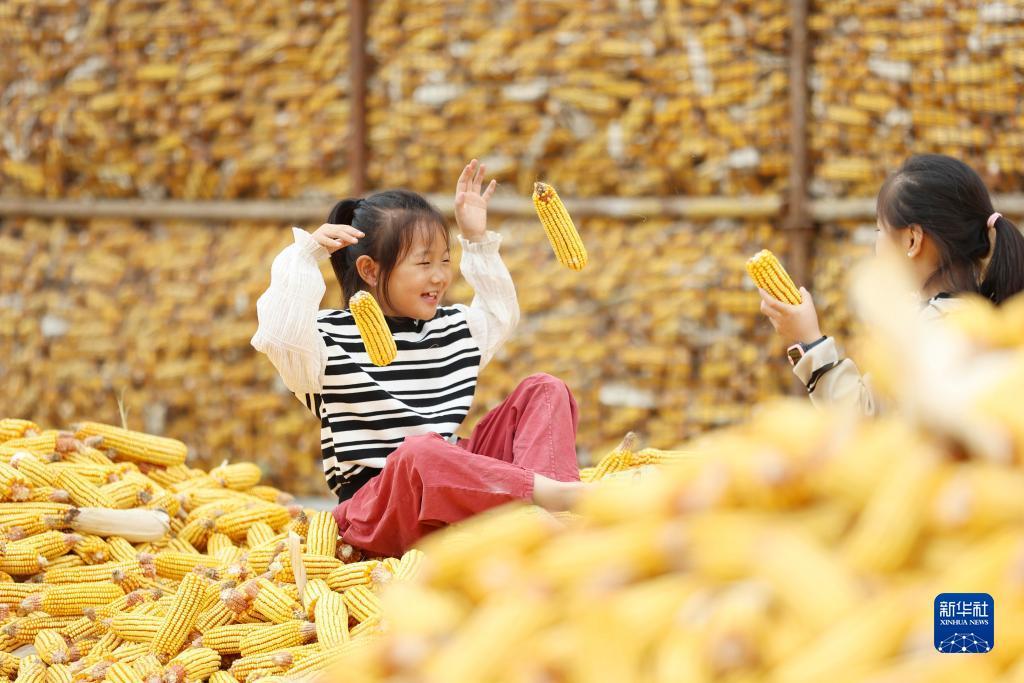 白菜网送彩金大全